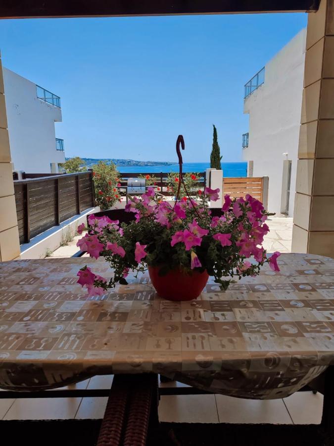 3 Bedroom Seaview Villa Direct In Coral Bay With Pool Exterior photo